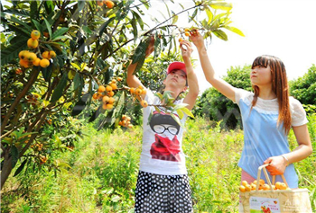 播種植樹 - 呵護(hù)生命成長(zhǎng)-廣州搏翱親子拓展